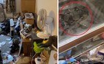 Um proprietário viveu um verdadeiro pesadelo ao visitar a casa onde morava uma dupla de inquilinos recentemente despejada. No local, Phil Tewkesly encontrou toneladas de lixo, uma jiboia gigantesca, outras três cobras, peixes mortos, insetos, escorpiões e até uma tarântula