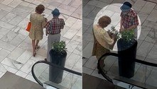 Casal de idosos furta planta de vaso em shopping e web aprova: 'Será melhor cuidada'