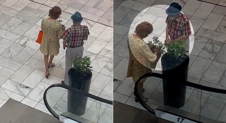 Casal de idosos foi flagrado furtando planta de vaso em shopping de Santiago, capital chilena