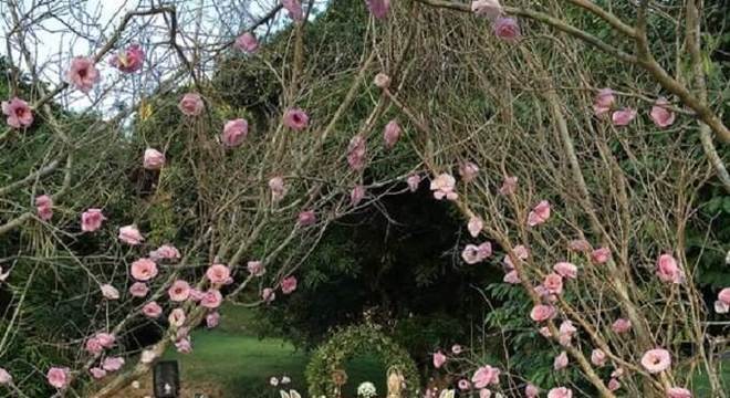 casamento ar livre simples