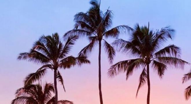 casamento ar livre simples com por do sol 