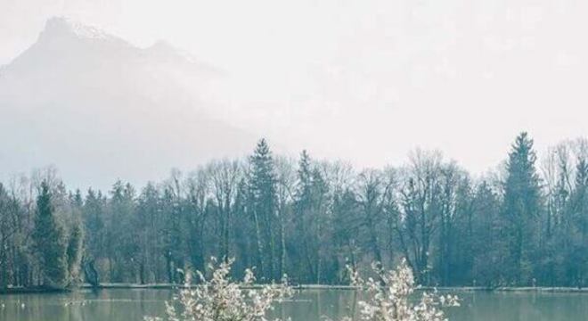 casamento simples ao ar livre decorado com arranjos de flores brancas