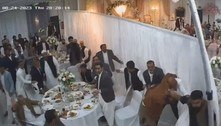 Casamento na Inglaterra vai da alegria à pancadaria generalizada em minutos