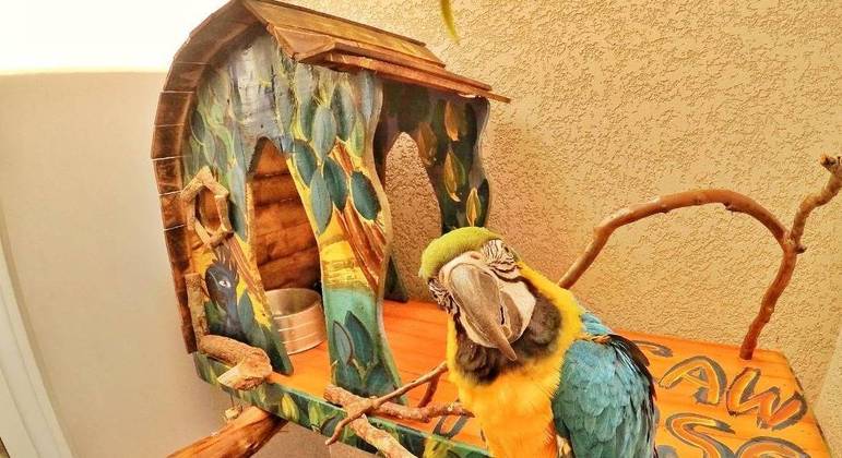 Casas de pássaros são produzidas conforme a criatividade de cada um
