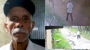 Caso Geraldo: cão farejador ajuda a procurar idoso que sumiu, em SP 