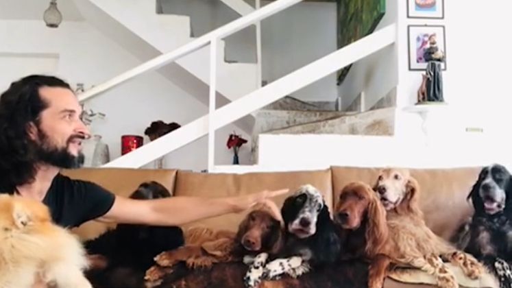 As buscas pelo só ator começaram quando seus cachorros, da raça setter, começaram a aparecer abandonados em uma região do Rio de Janeiro. Isso porque uma ONG olhou o chip de identificação dos cães e descobriu que eles eram do mesmo tutor