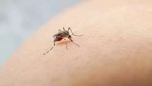 Casos de dengue aumentam 189% em todo território nacional