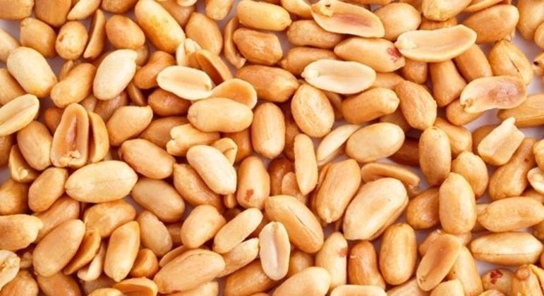 Castanha de caju - calorias presentes e benefícios do consumo