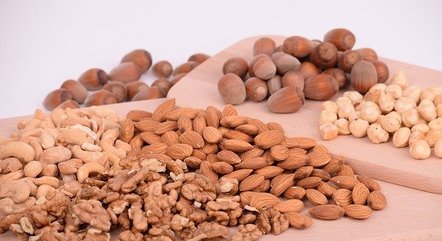 Oleaginosas são fonte de proteína vegetal 