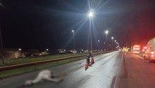 Moto e carro atropelam cavalo na BR-040 no Entorno do DF 