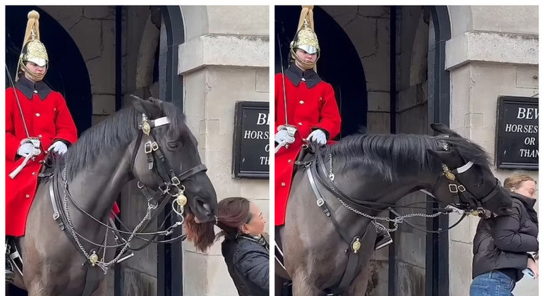 Cavalo que protege o Palácio de Buckingham, em Londres, morde duas turistas