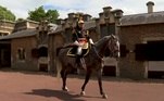 Seguindo a linha da China e dos seus pandas, o presidente da França, Emmanuel Macron, presentou a rainha Elizabeth 2ª com um cavalo da montaria presidencial em homenagem aos 70 anos da monarca à frente do Reino Unido