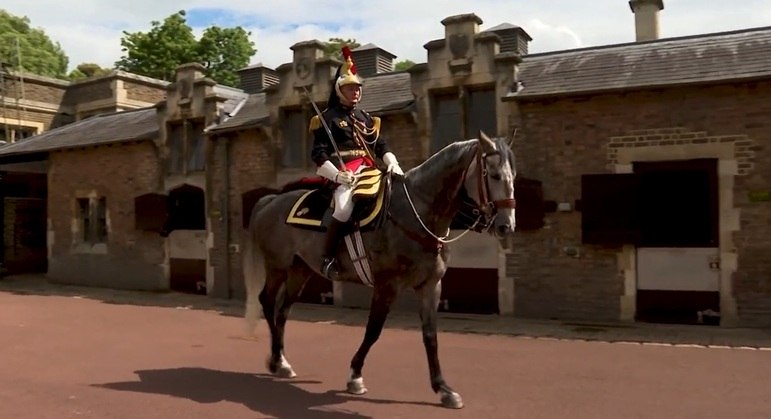 "Fabuloso de Maucourt" é um dos cavalos mais importantes da guarda francesa