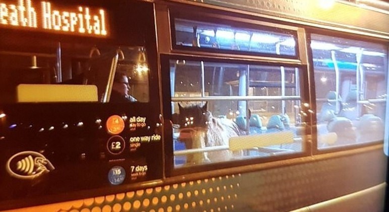 Est
e aqui conseguiu andar tranquilamente no transporte público