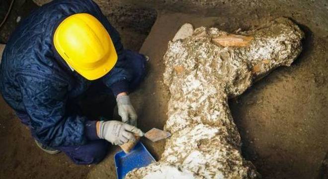 Arqueólogos dizem ter achado restos do Cavalo de Troia - Page Not Found -  Extra Online