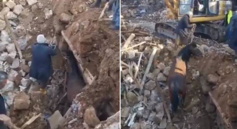 Vídeo mostra o salvamento de um cavalo 21 dias depois do terremoto na Turquia