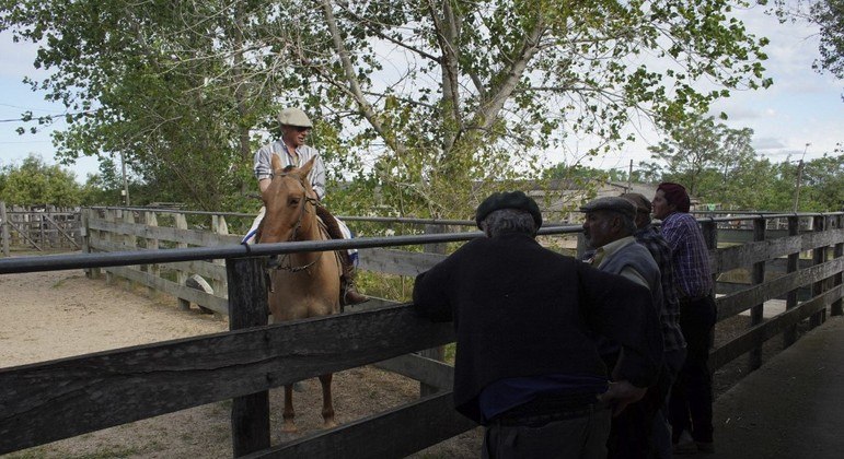 Potenciais compradores olham para um cavalo durante um leilão
