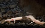 Muitos visitantes vão a Postojna para conhecer seus habitantes mais famosos, uma espécie de salamandra albina chamada de 
