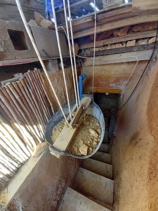 E ocupa cerca de 5 metros quadrados de áreaLEIA ISSO: Pesquisador amador afirma ter visto planta rosa em Marte: 'Alucinante'