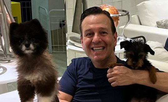 Viagem sem eles: como lidar com a saudade dos pets (ANA ZUCATELLI (MÃE DE CACHORRO))