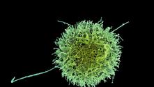 Cientistas mostram que a genética individual é capaz de prever se você vai ter Covid grave