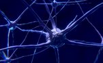 Neurotransmissores Gaba A psiquiatra esclarece que o Gaba é o principal neurotransmissor inibitório do sistema nervoso. Ele reduz as atividades neuronais, o que pode auxiliar no relaxamento, na redução da ansiedade, no equilíbrio do humor, na melhora do sono e no alívio da dor. Anormalidades na função e na atividade do Gaba estão associadas
a várias condições neurológicas e psiquiátricas, entre elas a epilepsia, a ansiedade
e a esquizofrenia. 'Acredita-se que
certas substâncias, como álcool e benzodiazepínicos, atuam no aumento da
atividade do Gaba no cérebro, o que pode levar a sentimentos de relaxamento e
calma, mas também pode contribuir para a dependência dessas substâncias', afirma Julia