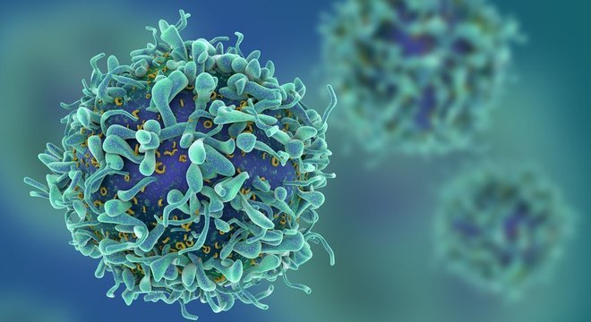  Os glóbulos brancos também são conhecido como leucócitos