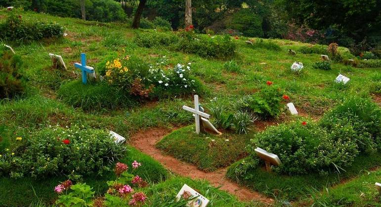 Cemitério Vila Nova Cachoeirinha