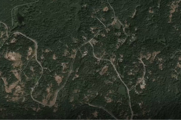 Esqueleto gigante de cobra encontrado no Google Maps gera polêmica