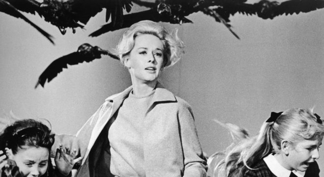 Especialistas dizem que não precisamos temer aves assassinas, como no clássico filme de terror de Alfred Hitchcock, 'Pássaros' (1963)