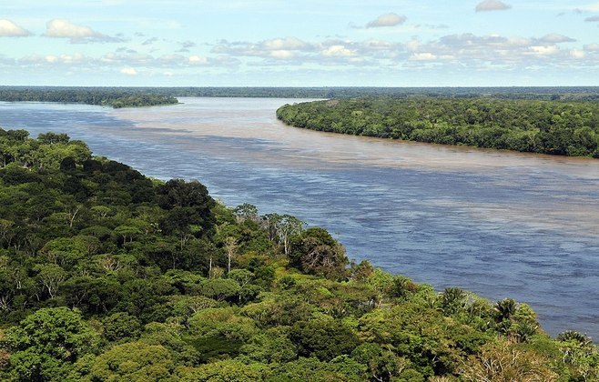 Cerca de 20% dos recursos hídricos do Brasil estão na floresta, que briga mais de 30 mil espécies de plantas, 1,8 mil de peixes continentais, 1,3 mil de aves, 311 de mamíferos e 163 de anfíbios.