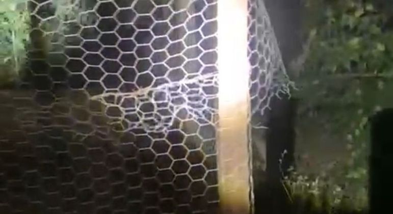 Cerca de galinheiro onde criança sofreu choque elétrico