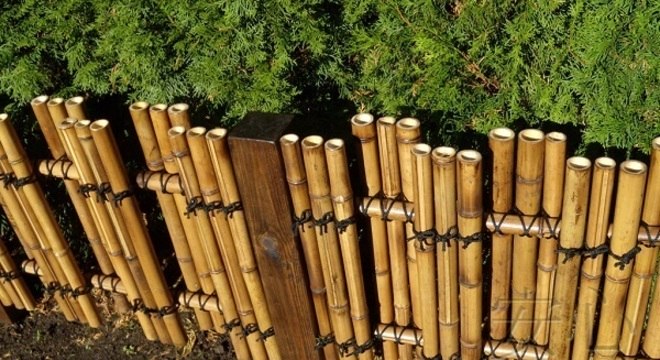 Cerca vista de cima e fixada em ambiente externo