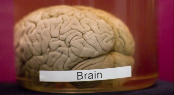 A longo prazo, os cientistas esperam encontrar melhores formas de proteger o cérebro após traumas