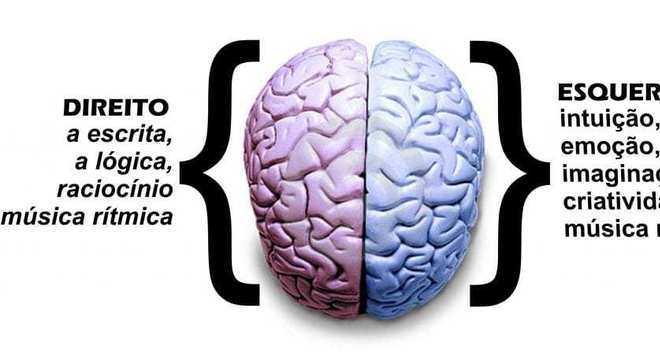 Cérebro - Definição, anatomia, divisões cerebrais e principais funções