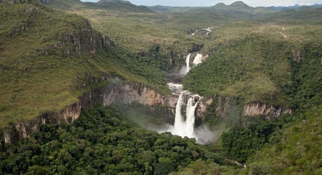 Cerrado - Características do bioma terrestre, localização e importância