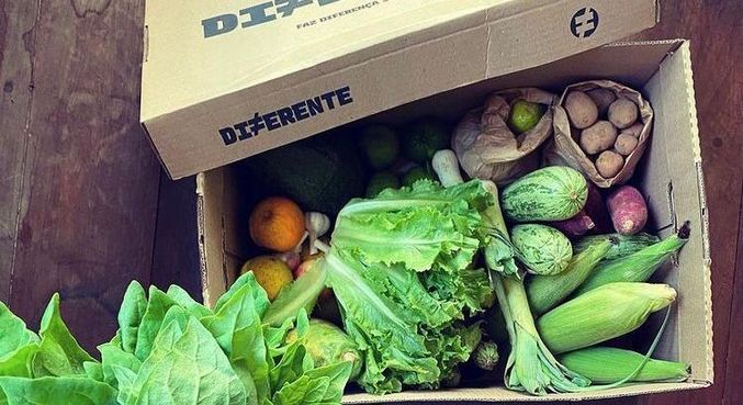Cesta da foodtech mercado Diferente, que vende vegetais fora do padrão