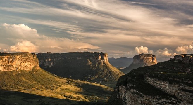 Nova espécie foi identificada na Chapada Diamantina; microssapinhos preferem áreas abertas a matas densas
