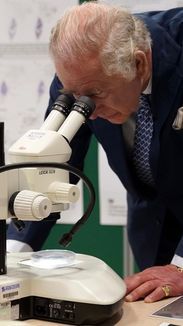 Conheça hábitos do rei Charles 3º, como o de falar com plantas
