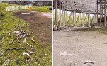 Imagens publicadas no TikTok mostraram uma descoberta macabra: uma pilha de ossos humanos em um prédio na região do acidente nuclear de Chernobyl