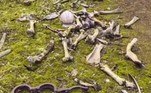 Segundo o tabloide The Sun, não se sabe ainda se os ossos pertenceram a algum trabalhador que morreu durante o acidente na usina, em abril de 1986VALE SEU CLIQUE: Oportunidade imperdível: rancho ao lado da Área 51 está à venda