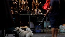 Ativistas americanos se organizam para resgatar bichos de festival de consumo de carne de cães