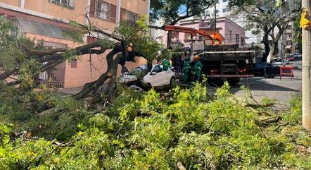 Pelo menos nove árvores caíram em BH