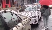 'Chuva de vermes' cai sobre carros na China e vídeo assusta a internet