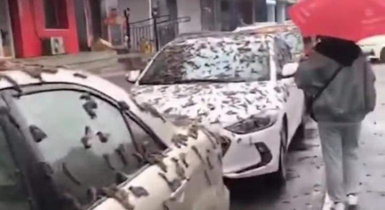 Carros cobertos pelos "vermes" em rua de Pequim