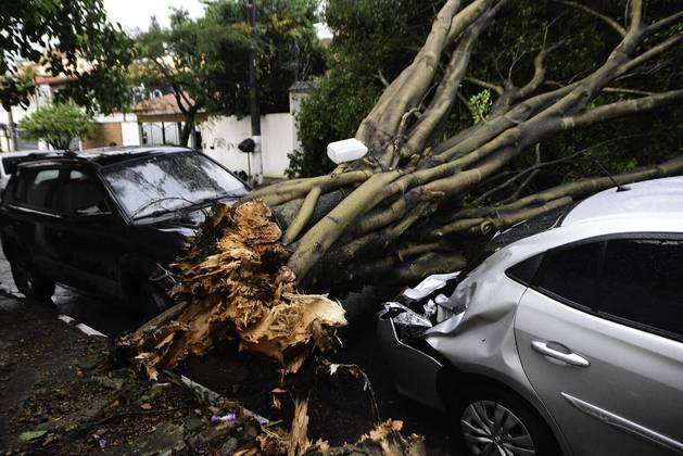 Chuva e ventos fortes derrubam árvores na região do Jardim Lar São Paulo, na zona sul da capital paulista, nesta sexta-feira, 3 de novembro de 2023.