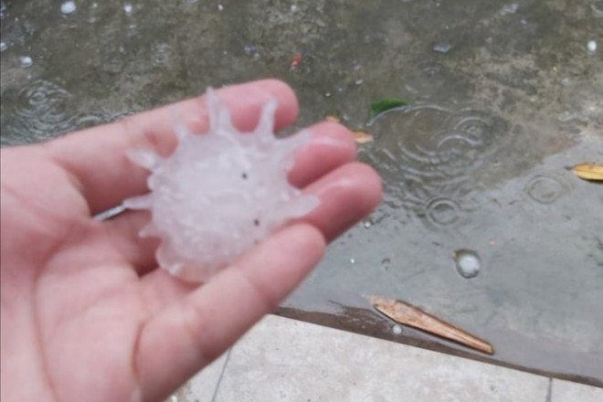 Chega de chuva! Bora fazer chimia de ovos! #enchente #chuvasantacatar