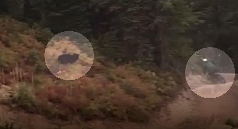Cliclista em alta velocidade foi perseguido por urso em colina dos EUA