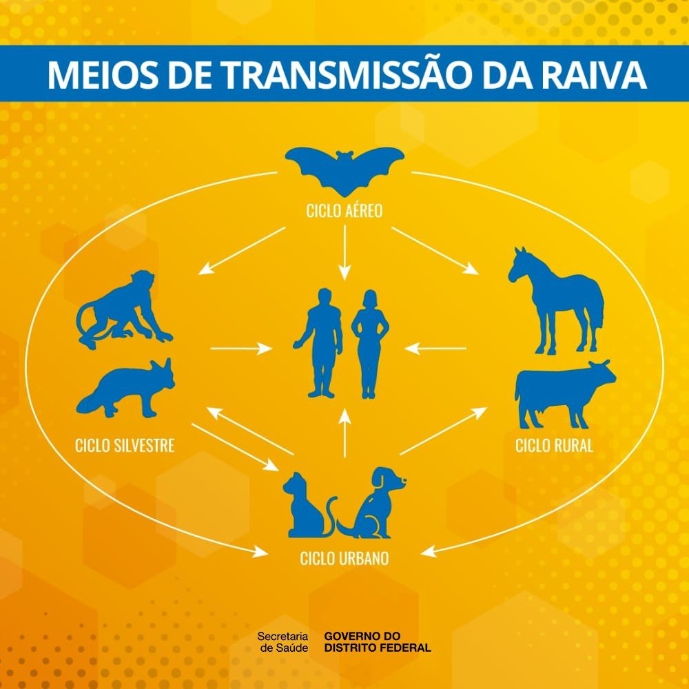 Conheça o ciclo da raiva
