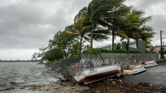 Cyclone Freddy kills four in Madagascar – News